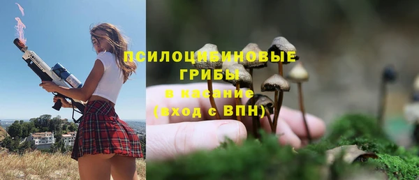apvp Абдулино