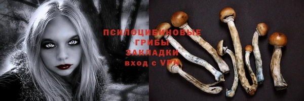 мет Абинск